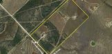 80 acres for sale Live Oak County Aerial