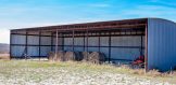 80 acres for sale Live Oak County Hay Barn