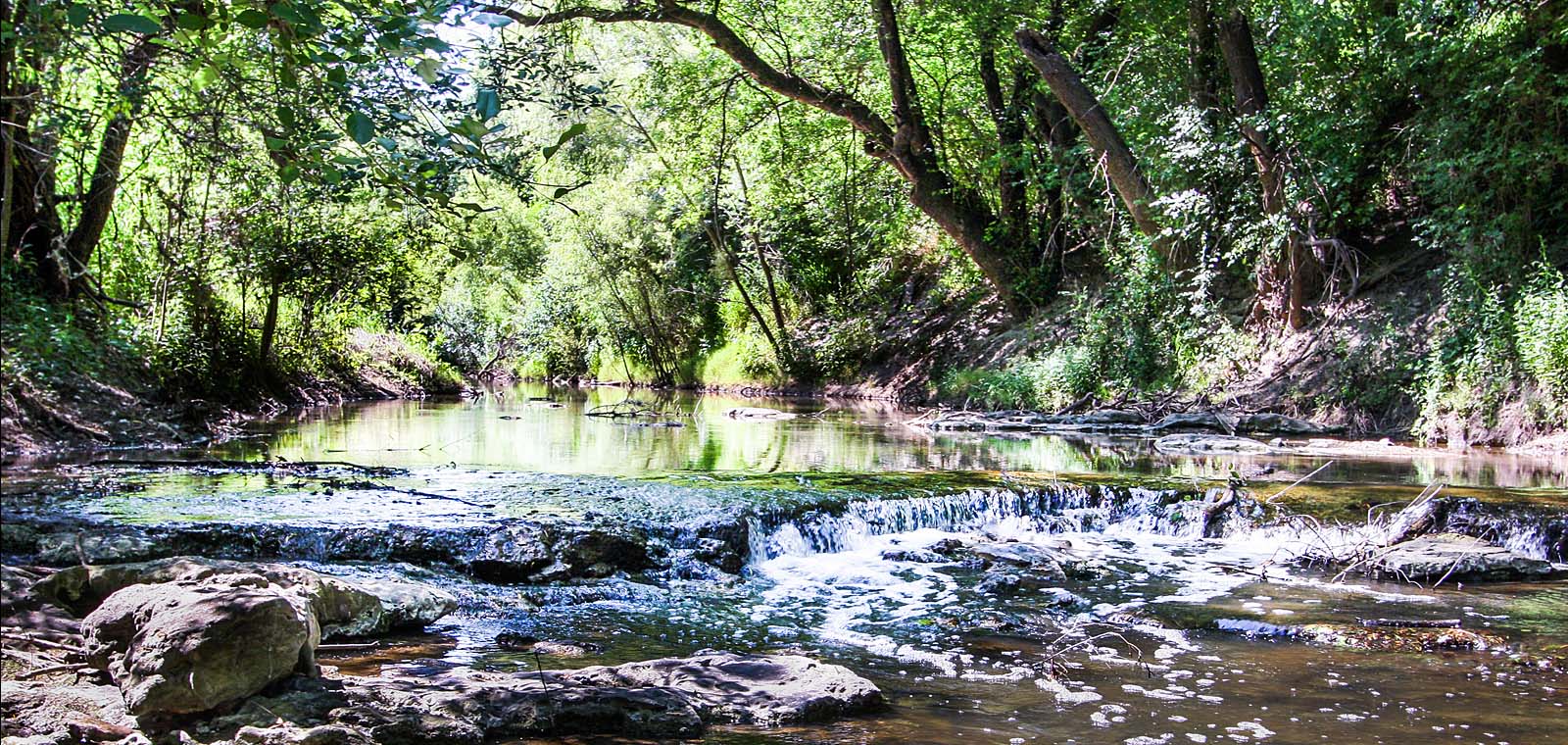 River in a Forest in Texas | Desert Flower Realty