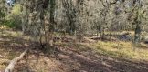 4.5 acres frio river frontage three rivers property for sale live oak county3