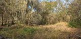 4.5 acres frio river frontage three rivers property for sale live oak county4