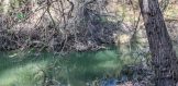 4.5 acres frio river frontage three rivers property for sale live oak county5