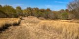 6.49 acres C Canyon Estates Frio River property for sale Three Rivers Texas open field