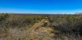 35.79 Acres Hwy 59 & FM 1359 Live Oak County Hunting Property for sale George West Texas view