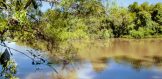 220 acres, CR 151, George West, Texas river cattle property live oak county for sale river 1