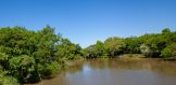 220 acres, CR 151, George West, Texas river cattle property live oak county for sale river 6