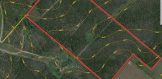 76.57 acres Live Oak County Aerial Web