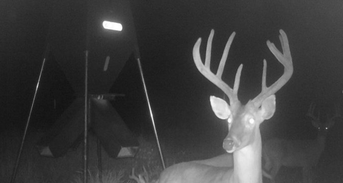 Ranch property in West, Texas Desert Flower Realty