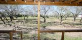 porch-view-3-acres-with-mobile-home-for-sale-in-three-rivers-eagleford-real-eastate-three-rivers-home-for-sale-small-acreage-home-sites