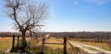 80 acres for sale Live Oak County Entrance
