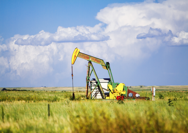 Beginner's Guide to Texas Mineral Rights Stag Land Services LLC