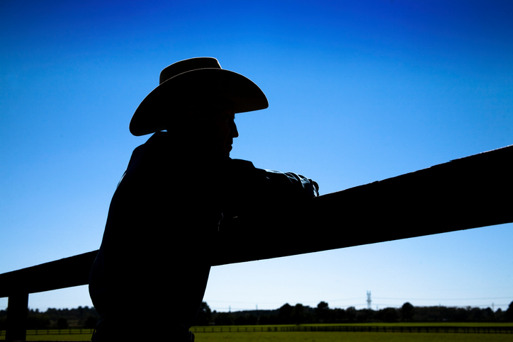 Man rancher on farm