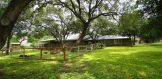 1010 Houston George West Backyard (1)