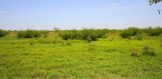 6869 CR 152 Pawnee terrain