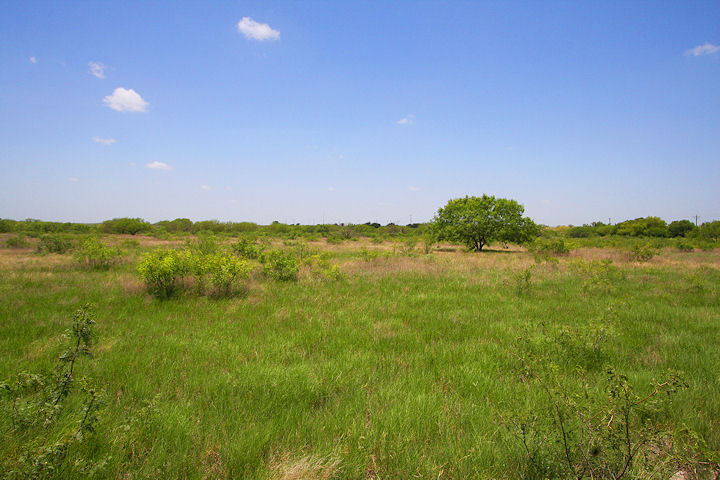 Abundant land, lush greenery
