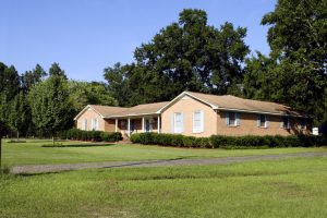 Property of the Month