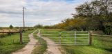 6497 Hwy 59 25 acre property for sale Bee County front gate