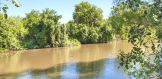 220 acres, CR 151, George West, Texas river cattle property live oak county for sale river 2
