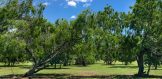 Kerry Dr. 3 city Lot Chapelle Heights George West Texas Live Oak County Property for sale 4