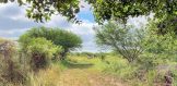 15 acres 3654 Hwy 37 N TR Tx 1