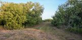 80 acres 138 CR 136 road