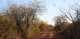 600ac CR 239 Jim Wells Sendero