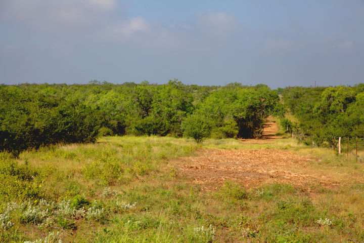 vacant land in George West, TX