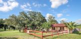 3890 Hwy 281 Three Rivers Residential property for sale and 2.3 Acre Side Exterior