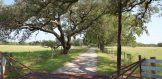 245ac Hwy 202 Beeville Entrance