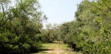 245ac Hwy 202 Beeville Road to Tank