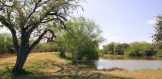 245ac Hwy 202 Beeville Tank2