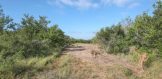 30.96 Acres FM 889 & Lagarto Rd. 2nd pic