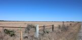 30 acres CR 384 Live Oak County 2
