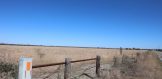 30 acres CR 384 Live Oak County 4