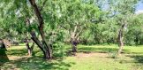 102 Christian Dr., George West Texas real estate home on 1 acre modular Back yard 2