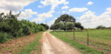 2889 FM 888 Beeville Texas residential ranch properties for sale FY Drive up to house