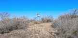 100 acres 225 CR 163 Clegg Land for Sale Live Oak County 1