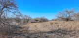 100 acres 225 CR 163 Clegg Land for Sale Live Oak County 2