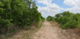 17.09 acres 131 FM 1873 Sendero
