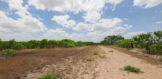 17.09 acres 131 FM 1873 terrain