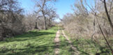 26.85 Acres CR 381 Tract 13 GW TX 14