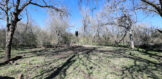 26.85 Acres CR 381 Tract 13 GW TX 15