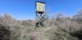 26.85 Acres CR 381 Tract 13 GW TX 17