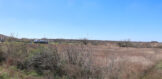 253 CR 222 OG 5 acre res site 3