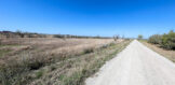 253 CR 222 OG 5 acre res site 4