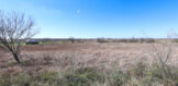 253 CR 222 OG 5 acre res site 6