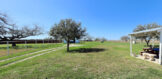 Ponce Back Yard